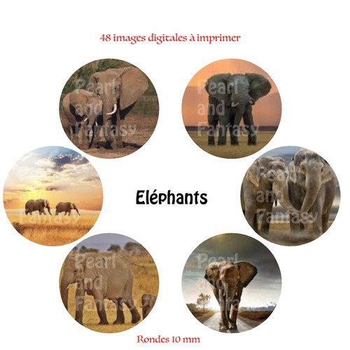Images digitales rondes "eléphants" 10 mm