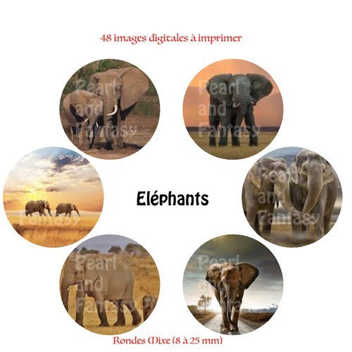 Images digitales rondes "eléphants" différentes dimensions