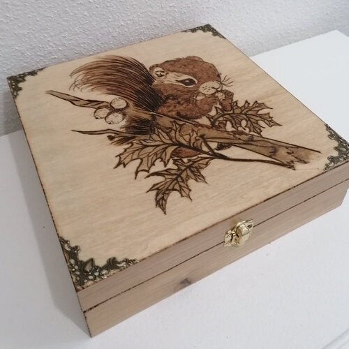 Boîte en bois gravée d'un adorable petit écureuil sur branche à glands 16 compartiments amovibles ltithothérapie numismate