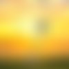 Attrape soleil