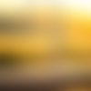 Attrape soleil