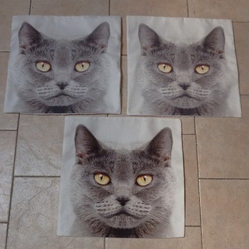 Housse De Coussin En Coton Motif Chat Forme Carre Un Grand Marche