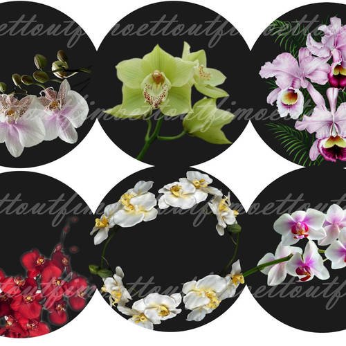 36image digitale cabochon orchidée fond noir 1(envoi mail) 
