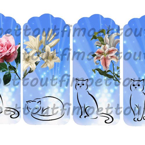 4 marque page digitale chat et fleur sur fond bleu(envoi mail) 