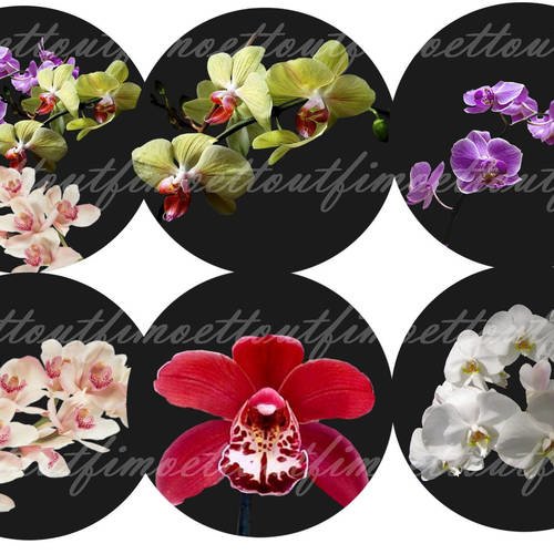 36image digitale cabochon orchidée fond noir 2(envoi mail) 