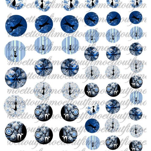 24 images digitale chat silhouette fond bleu nuit,rond (envoi mail) 