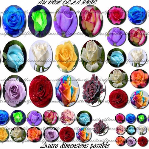 60image digitale cabochon les roses , ovale et rond(envoi mail) 