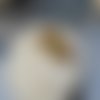 Oeil de chat