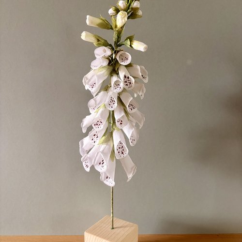 Digitale blanche en papier crépon sur cube en bois