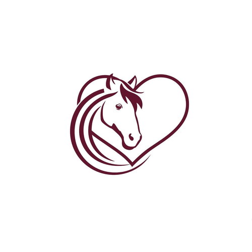 Cheval poney coeur équitation 8 cm appliqué flex thermocollant couleur au choix