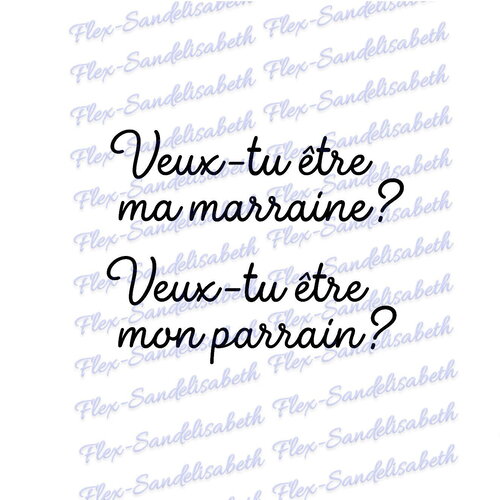 Veux-tu être mon parrain ma marraine thermocollant flex appliqué transfert textile couleur et dimension au choix