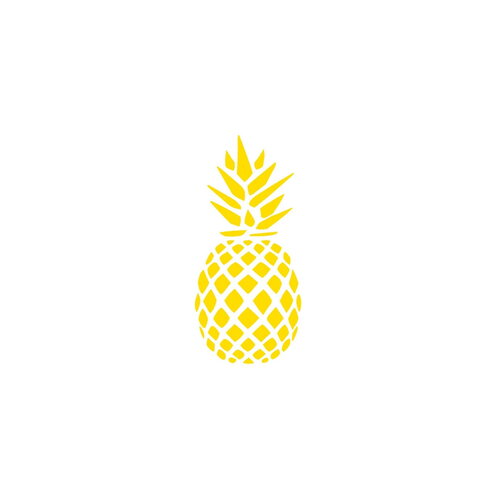 Ananas fruit été 8 cm appliqué flex thermocollant couleur au choix