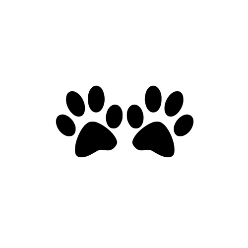 Pattes chat chaton 8 cm appliqué flex thermocollant couleur au choix