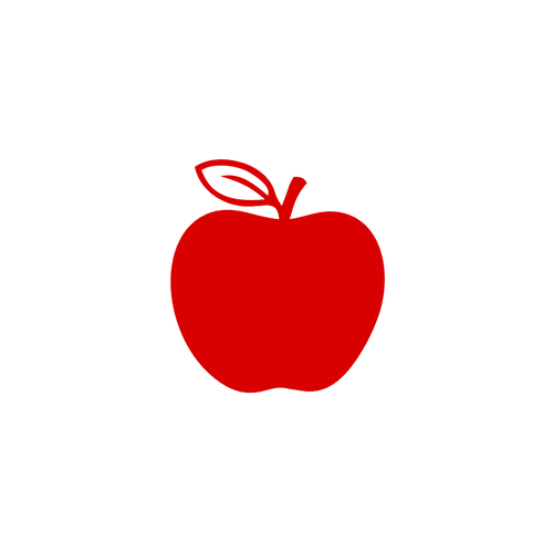 Pomme 10 cm appliqué flex thermocollant couleur au choix