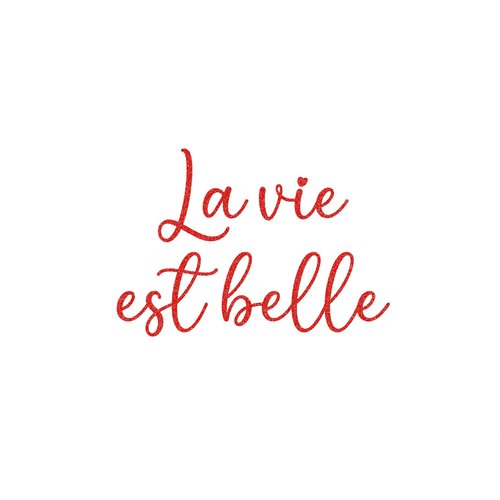 La vie est belle texte joli message positif 10 cm appliqué flex thermocollant couleur au choix