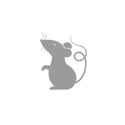 Mignonne petite souris 12 cm appliqué flex thermocollant couleur au choix