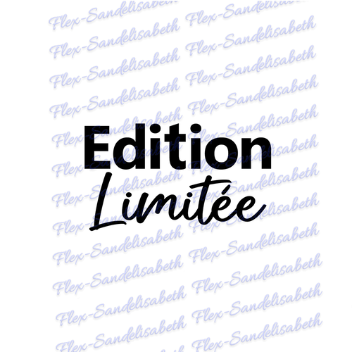 Édition limitée 10 cm texte appliqué flex thermocollant couleur au choix