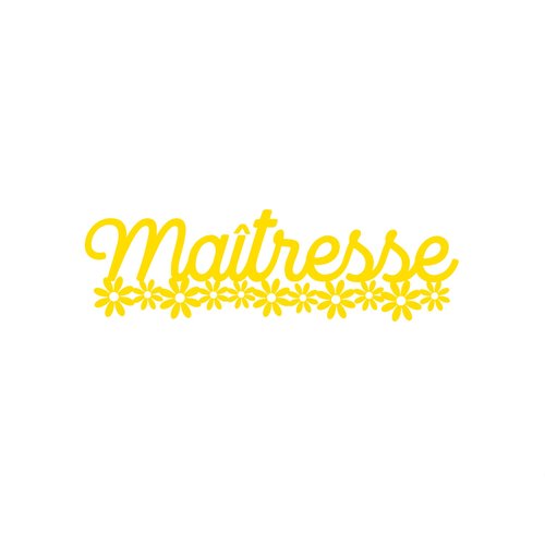 Maîtresse petites fleurs 20 cm flex appliqué thermocollant couleur au choix