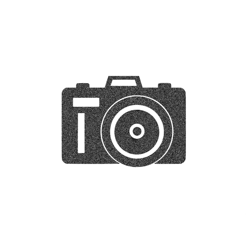 Appareil photo 10 cm appliqué flex thermocollant couleur au choix