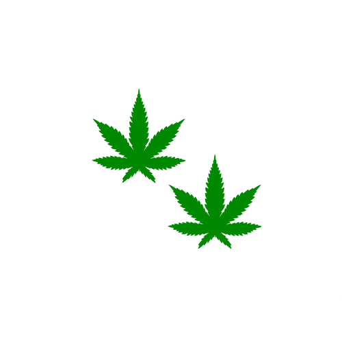 2 feuilles cannabis 4 cm cm appliqué flex thermocollant couleur au choix