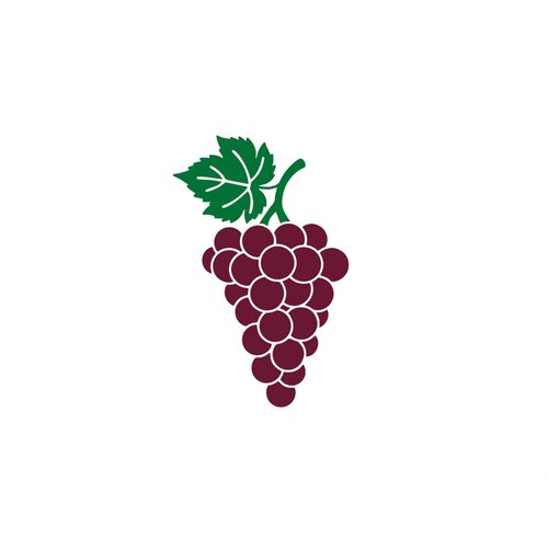 Raisin grappe vin sommelier transfert flex thermocollant pour tissu dimension au choix