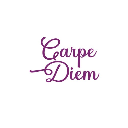 Carpe diem joli message pensée positive flex thermocollant appliqué transfert couleur et dimension au choix