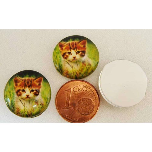 4 cabochons 16mm verre chat chaton rond cab51 