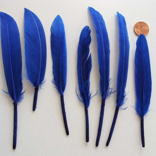 15 plumes bleues teintes 8 à 15cm diy loisirs créatifs déco