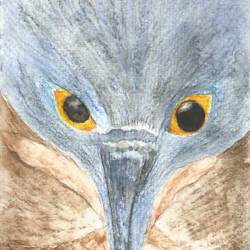 Le heron,aquarelle a imprimer, art animalier,beaute de la nature,art visuel surrealiste,marron beige noir bleu orange,pdf numerique