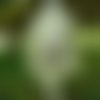 Voile d'été