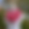 Snood rose framboise