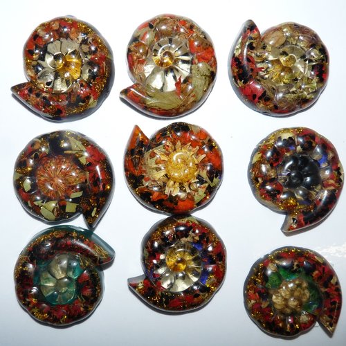 5 cabochons spirale de fleurs séchées sous résine marguerite pour création de bijoux collage magnets