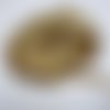 Ruban doré qui brille 1,7 cm pour création couture