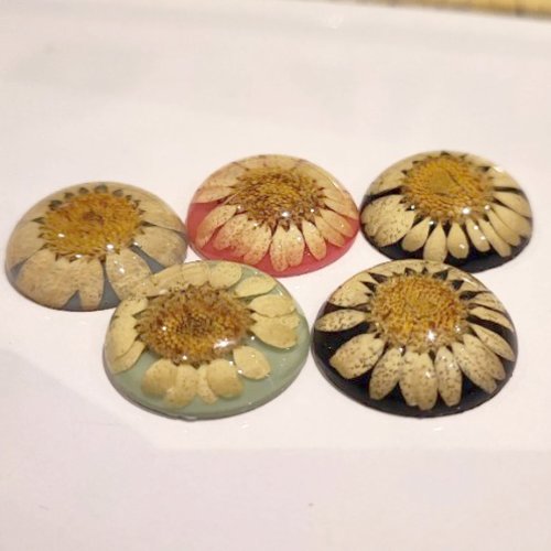 5 cabochons ronds fleurs sous résine marguerite pour création de bijoux