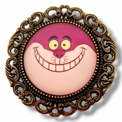 Broche camée verre chat du cheshire. accessoire alice pays des merveilles