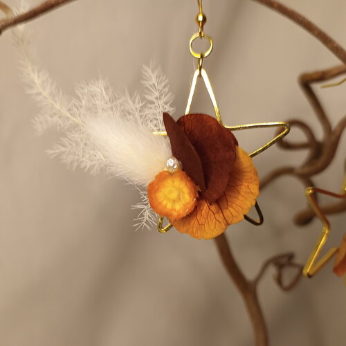Boucle d'oreilles pendantes " rêve étoilé "