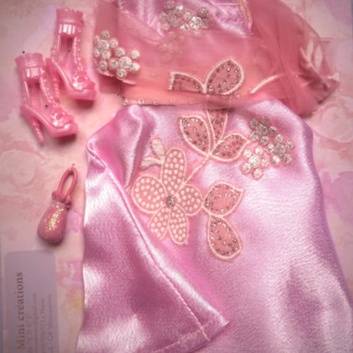Robe princesse - étole - sac et chaussures modèle unique