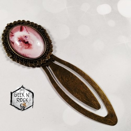 Marque-pages cabochon en verre chat idée cadeau