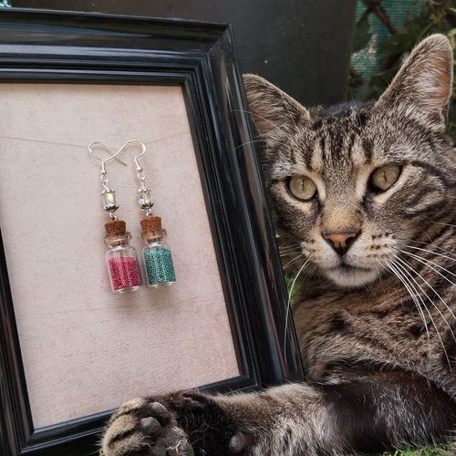 Boucles d’oreilles | potions d’aventurier