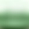  fil nylon vert clair 0,8 mm  x 3 m 