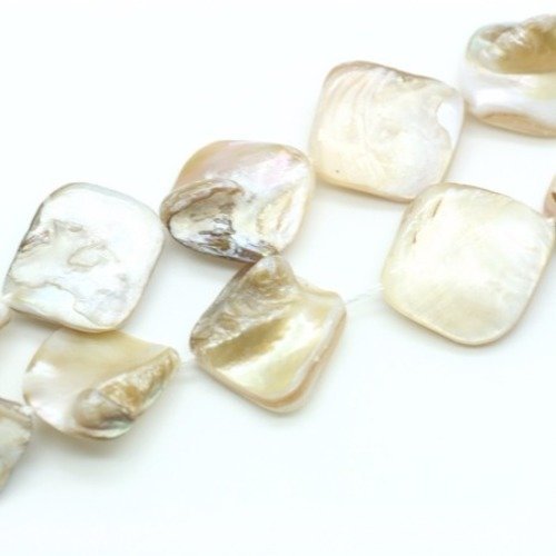 Perle de coquille naturelle  15~23x13~20 mm x 4 