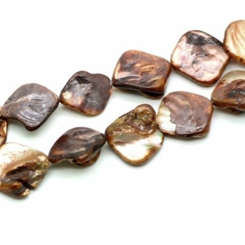 Perle de coquille teint  15~23x13~20 mm marron x 4