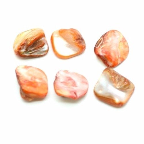 Perle de coquille teint  15~23x13~20 mm orangé x 4 
