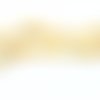 Perle palet de coquillage 10 mm jaune orangé  x 10