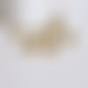 Pendentif coquillage cauri doré clair,fourniture créative,coquillage naturel,cauri doré,coquillage bijou,coquillage or,20mm,les 5-g1121