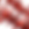 Branche corail rouge foncé percée,perles corail,corail naturel,perle naturelle,coquillage,perle rouge,création bijoux,25-70mm, l'unité g2667