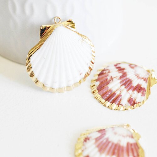 Natural shell pendant golden shell, golden pendant, jewelry creation, jewel shell, gold shell,33-54mm, unit, g1795