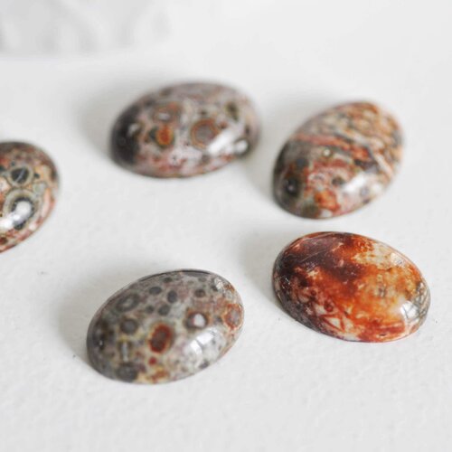 Cabochon rond jaspe léopard,bijou pierre, cabochon rond,jaspe naturel, jaspe marron,cabochon 18x13mm, pierre naturelle, g1134