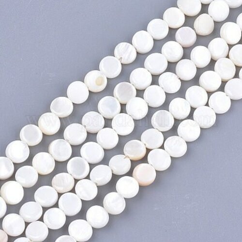 Perle disque nacre coquillage blanc 6mm,perle en coquillage pour fabrication bijoux nacre, le fil de 65 perles g5580