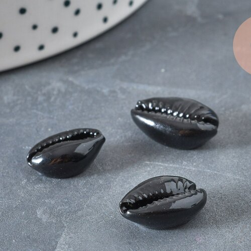 Black cowry shell pendant, natural shell, black cauri, jewelry creation, jewel shell, shell, 15mm, 5-g370